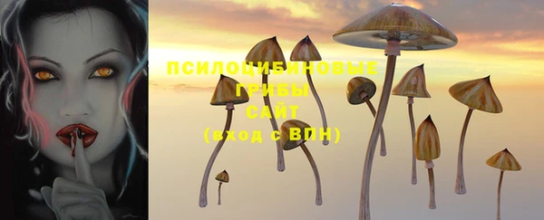 PSILOCYBIN Белокуриха